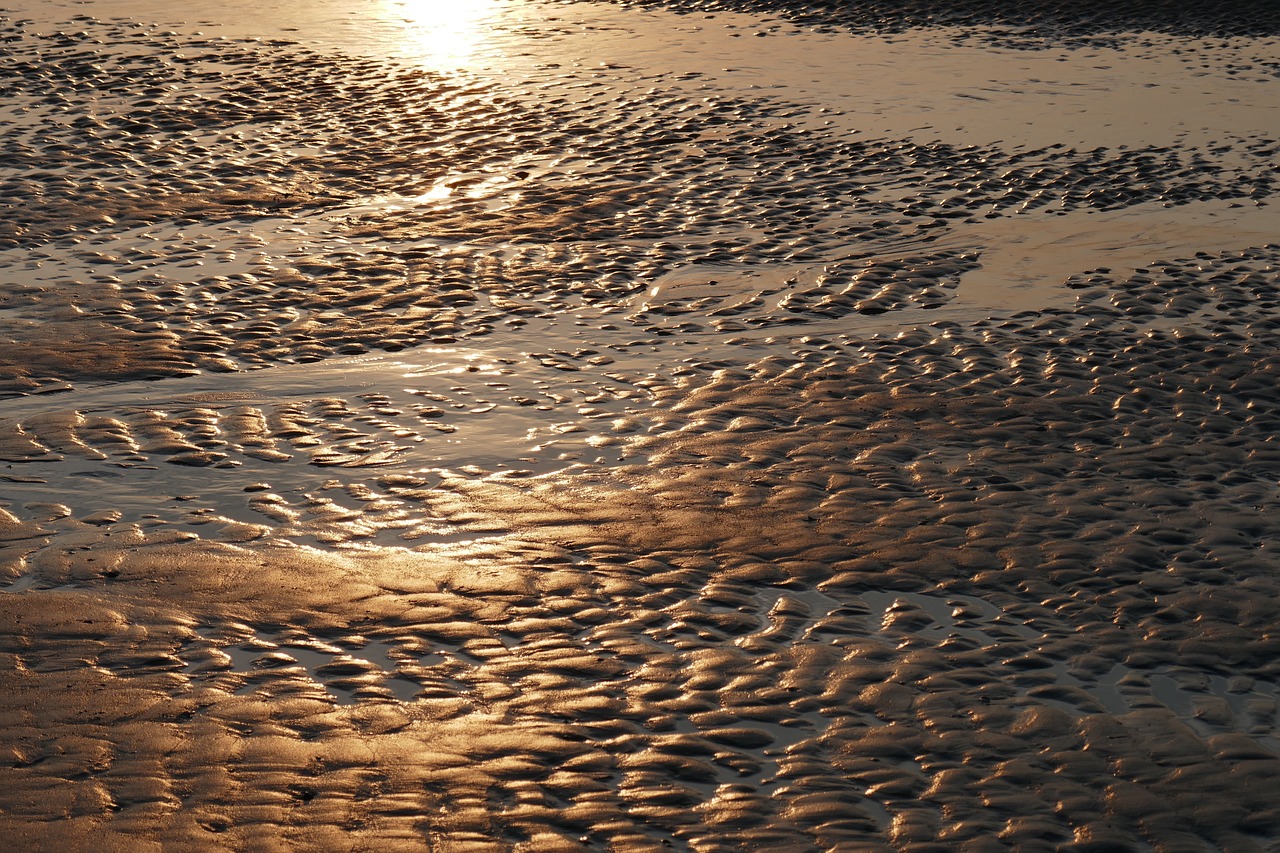 sunset reflecting off the sand on an ocean beach