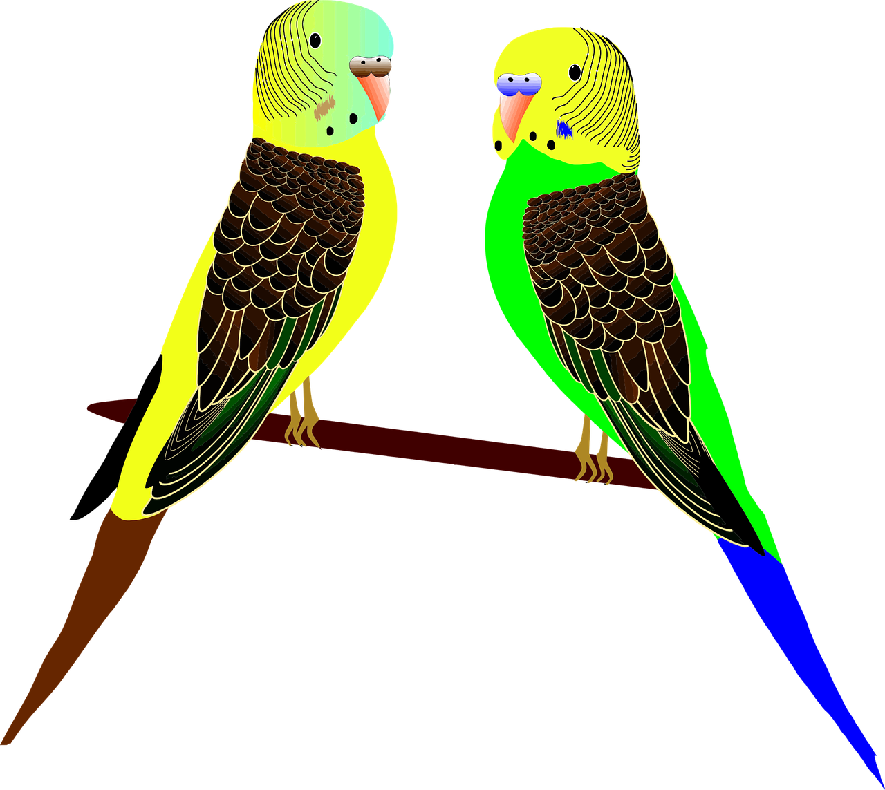 two parakeets sitting on a table looking out the window