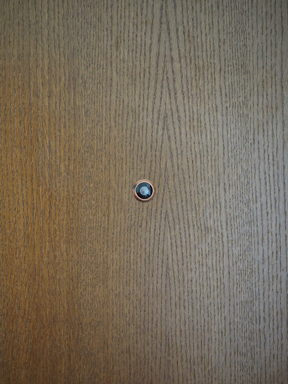 a brown wooden door with a blue round on on it