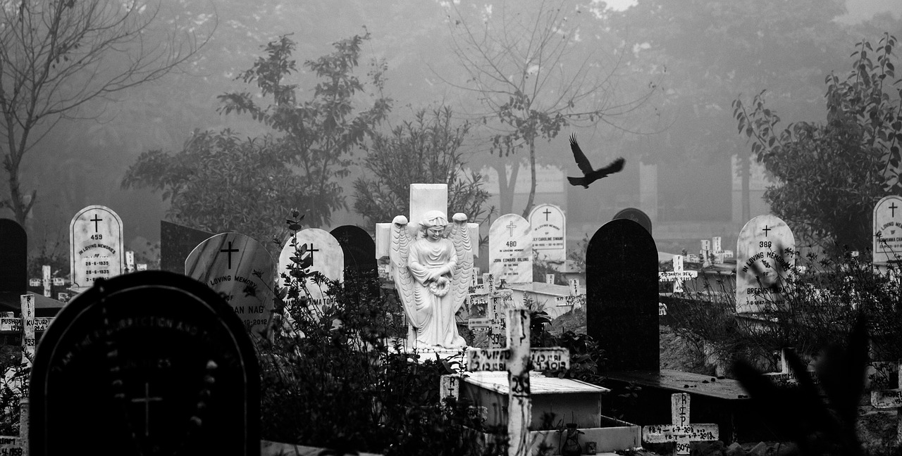 a graveyard with black bird and graves