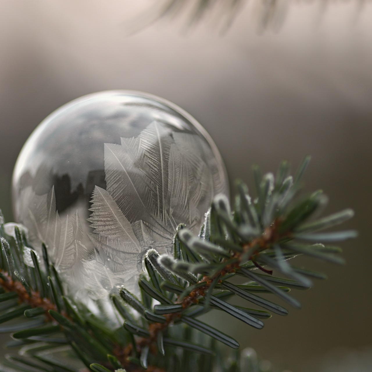 a glass bubble with snow is sitting on a pine nch