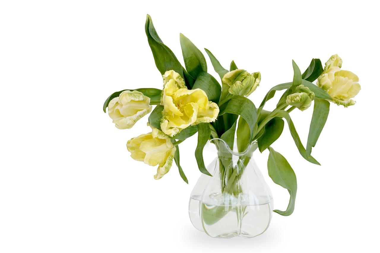 yellow tulips in a vase sitting on a table