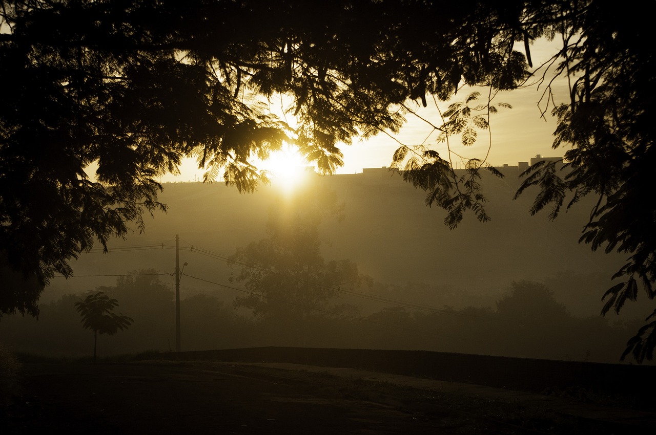 a sunset is seen through some fog in the trees