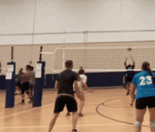 a group of people play a game of volley ball