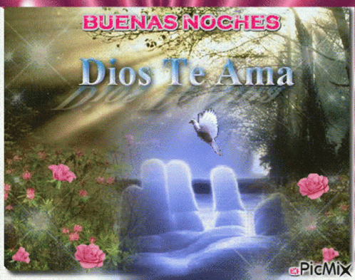 the front of a card for the game dios te ama
