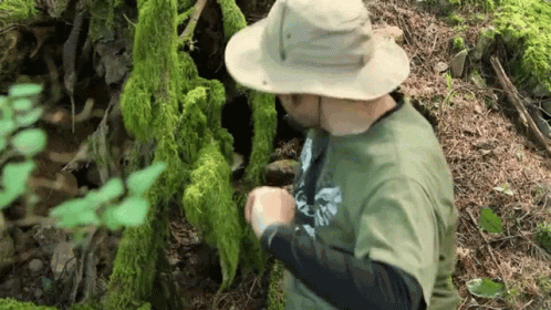 a person wearing a hat and coat in some green trees