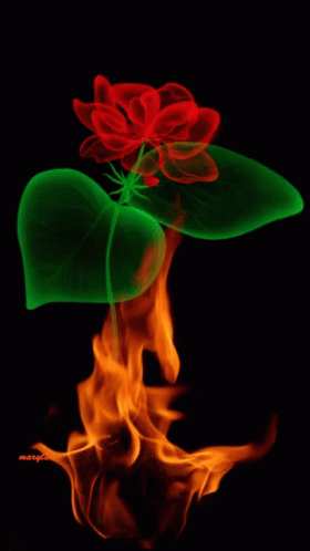 a green leaf is being blown by blue flames