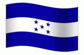 an image of the flag of cuba