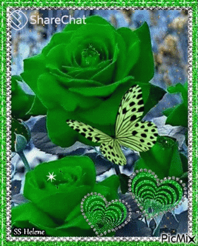 the green rose is with an image of a erfly