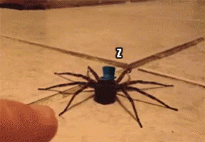 a spider is standing on the floor with the numbers on it