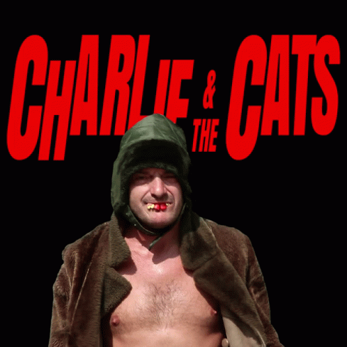charlie and the cats appearing for a tv ad