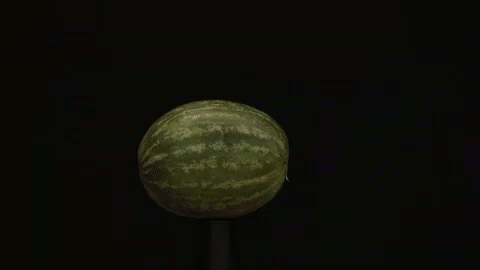 a large, round piece of fruit sitting on top of a pole