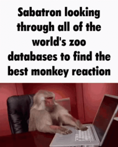 a picture of an image of a monkey working on a laptop