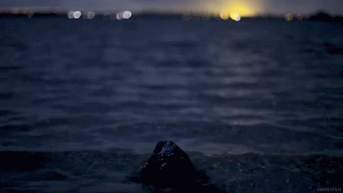 a blurry picture of the sea at night