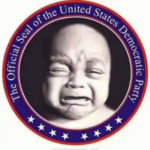 an official seal of the united states'democracy