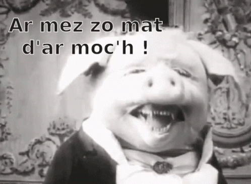 an image of a pig with the caption ar mez zo mat de'aa mooch