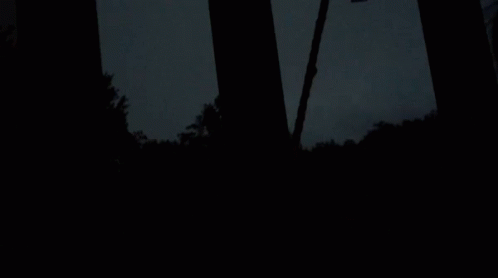 a stop sign lit up in the night by some trees