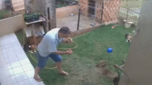 a person is tossing an orange ball in the yard
