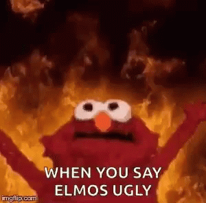 a funny sesame character with the words, when you say elmo ugly