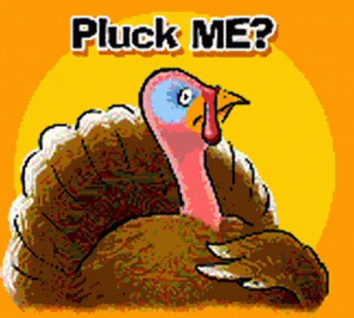 a cartoon turkey with the words pluck me?