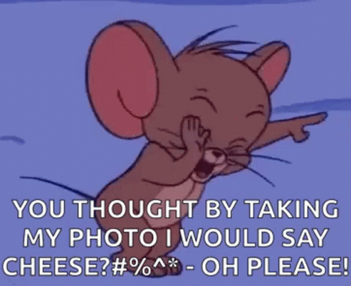 an animated mouse saying that you thought by taking my po would say cheese? 0 %? oh please