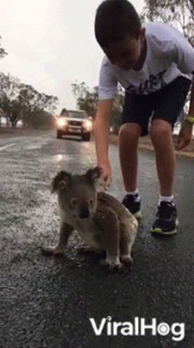 a man kneeling down in front of a baby koala