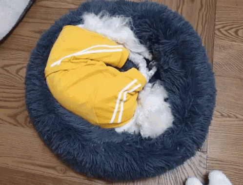a small dog sleeping on top of a brown pet bed