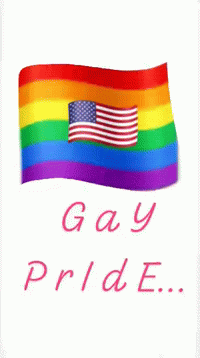 gay pride is a rainbow flag with the text gay pride