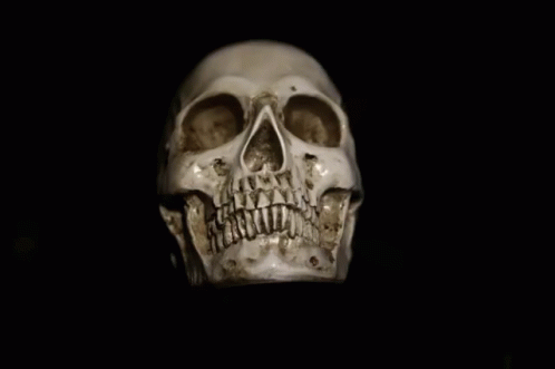a skull statue with a skeleton on the side
