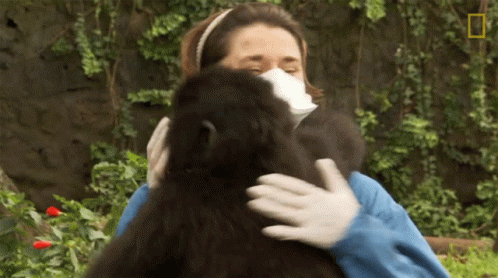 a woman with blue face paint cuddles a black gorilla