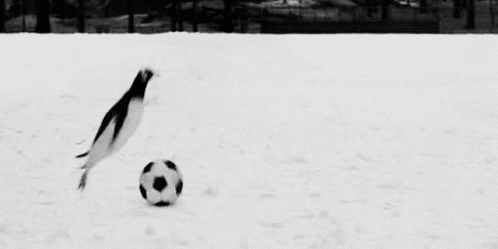 a penguin flying to the right next to a soccer ball in the snow