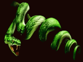 an image of a very nice green snake