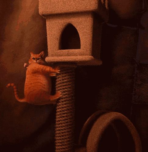 a house cat is climbing a very tall tower