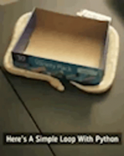a box on the ground with its lid up and a pen in it