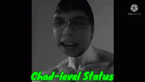 a person with glasses in front of a screen saying chad - level status