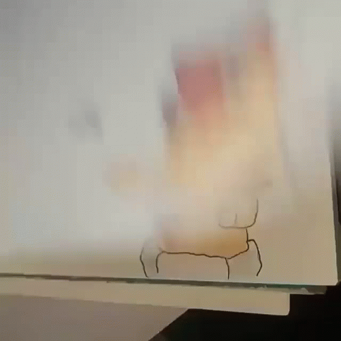 a blurry po of a deer, through a window
