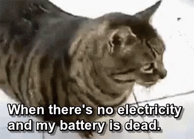 a cat has been hit with a joke that says, when there's no electricity and my battery is dead