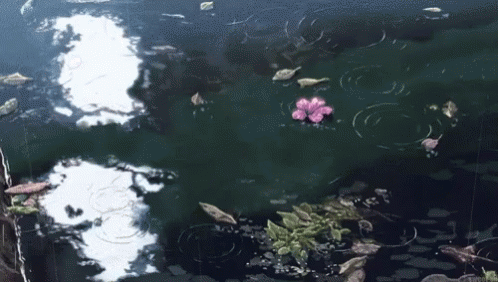 the purple flower is growing in the water