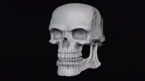 a black and white po of a human skull