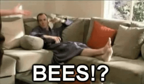 a man is sitting on a couch, pointing a remote to bees?