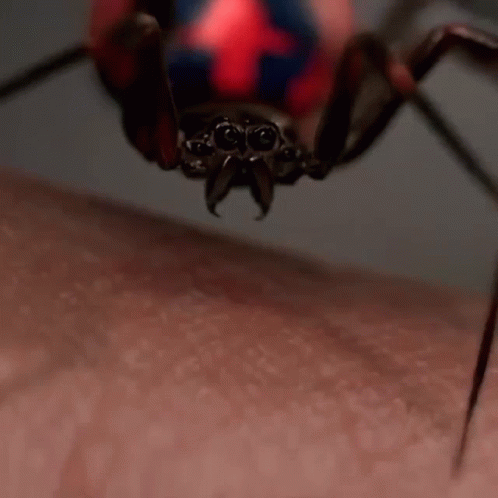 a close up of a spider on the side of a person