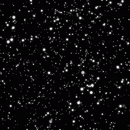 black and white pograph with lots of small snow flakes