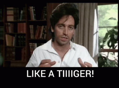 an image of a man saying like a tiger