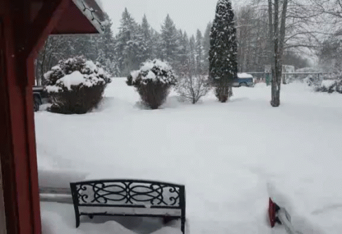 a snow covered yard with a bench on the ground