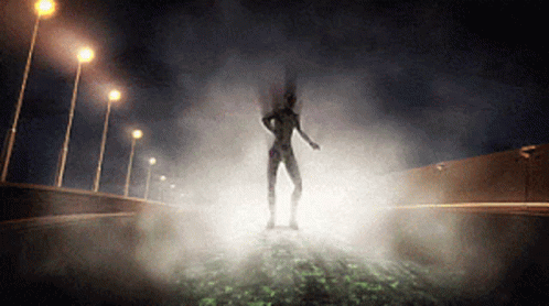 there is a person in the middle of a foggy street