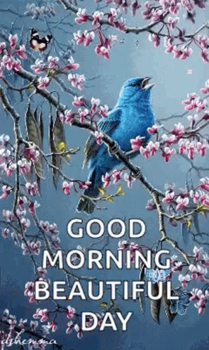 the words good morning and a bird sit on top of flowers