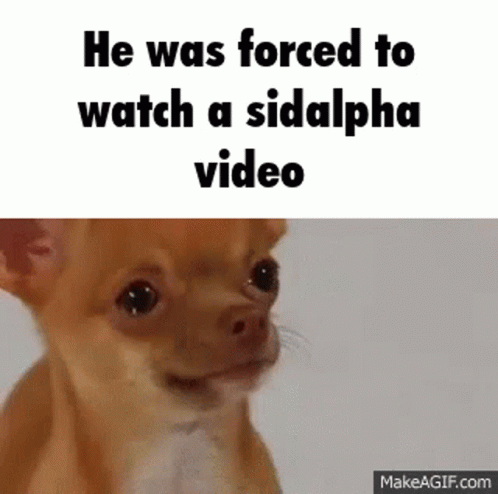 a blue baby dragon with the caption he was forced to watch a sidalpha video