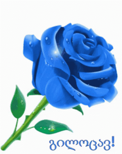 a picture of a rose that reads'gomo '
