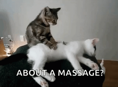 a cat laying on a bed with a caption that says, about a massage?