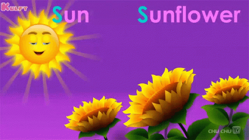 a pink background with blue flowers that say, sunflower
